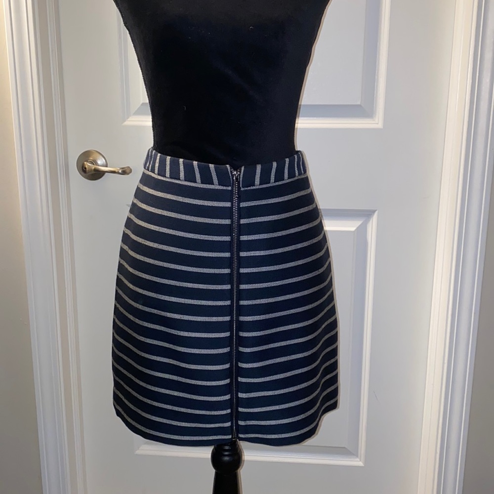 The Limited Zipper skirt